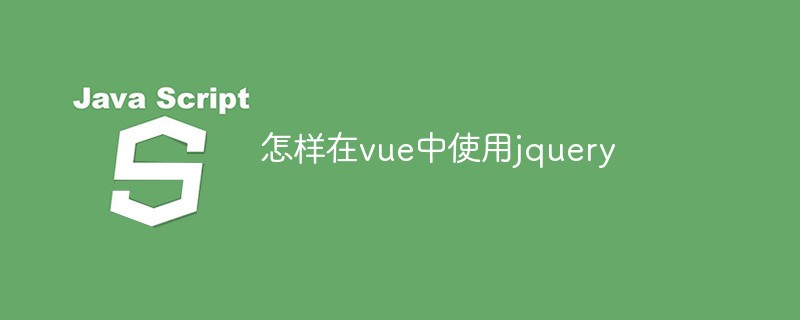 怎样在vue中使用jquery