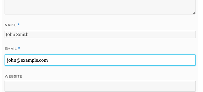 Highlight active comment form field